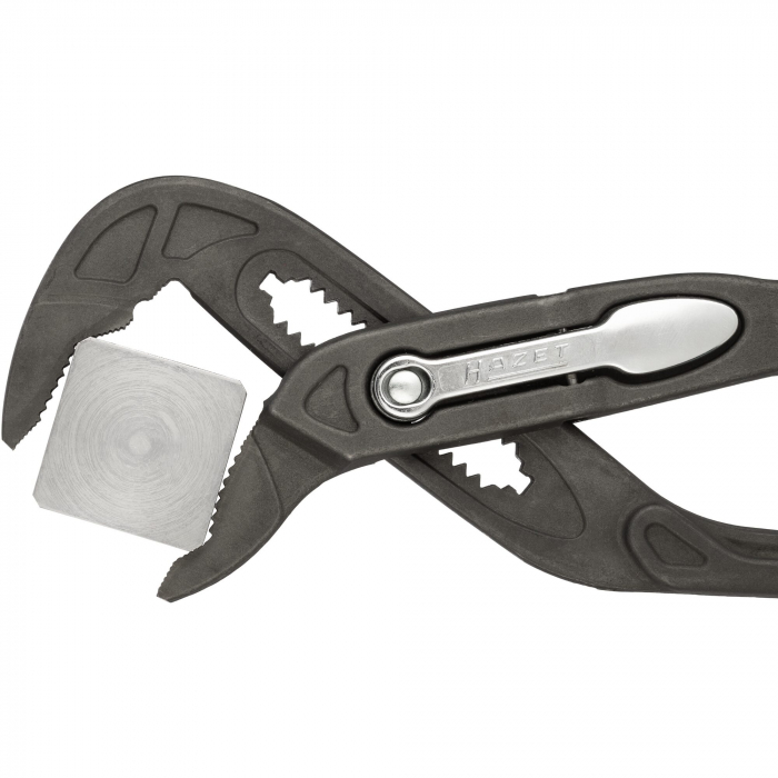 Cleste papagal, 260 mm [9]