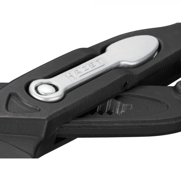 Cleste papagal, 260 mm [4]