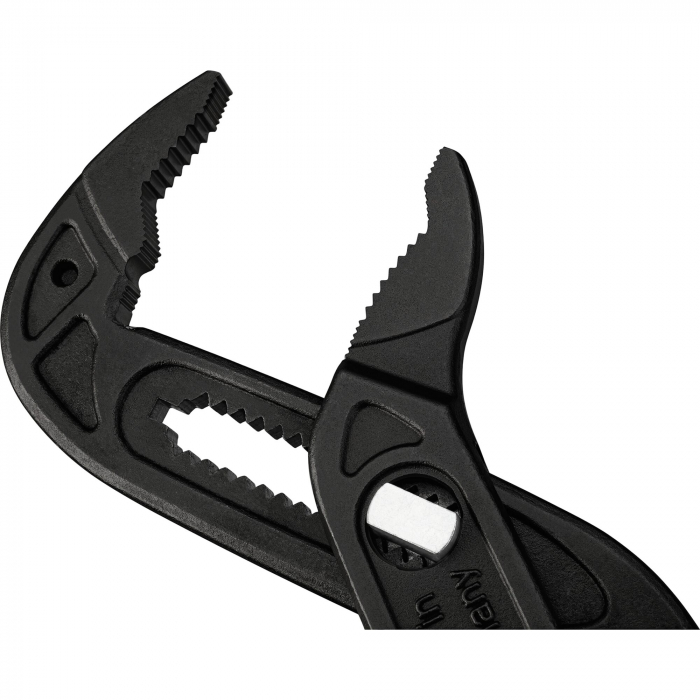 Cleste papagal, 260 mm [5]