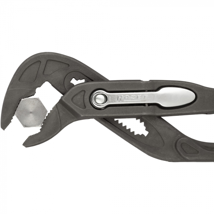 Cleste papagal, 260 mm [7]