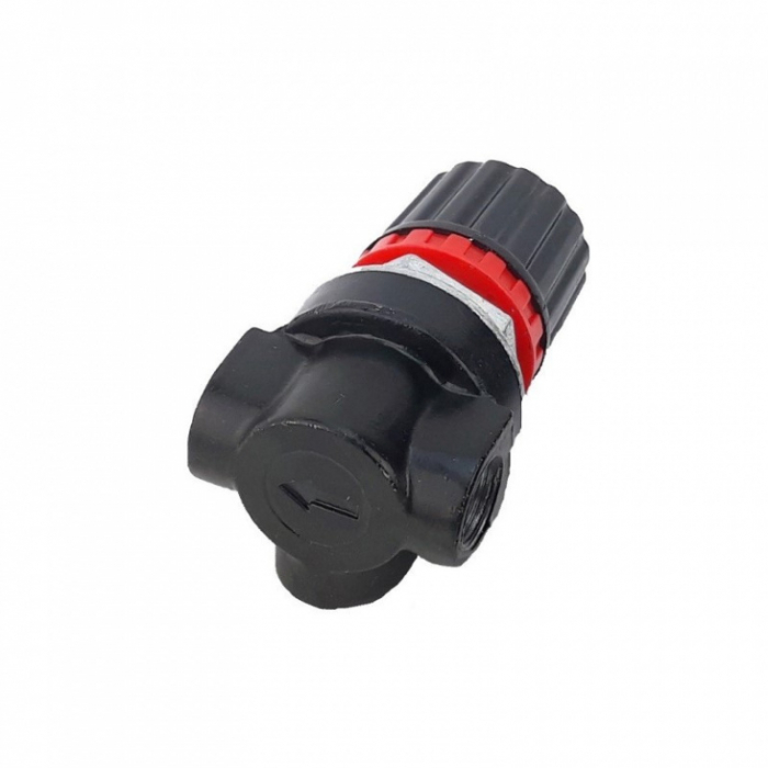 Mini regulator de presiune cu 2 filete interioare de 1/4" si 1 filet de 1/8" [2]