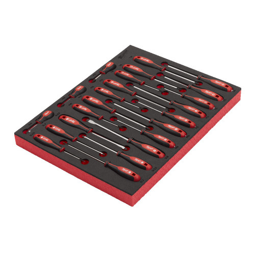 Modul in insertie de spuma cu surubelnie Tri-Lobe, 23buc [2]