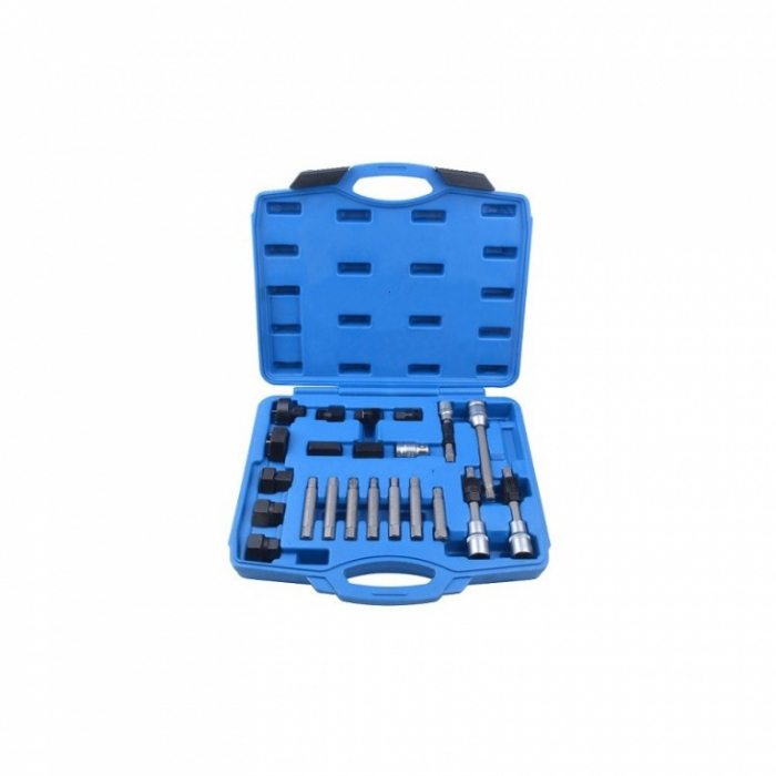 Set de chei pentru fulii alternator, 24 piese [2]
