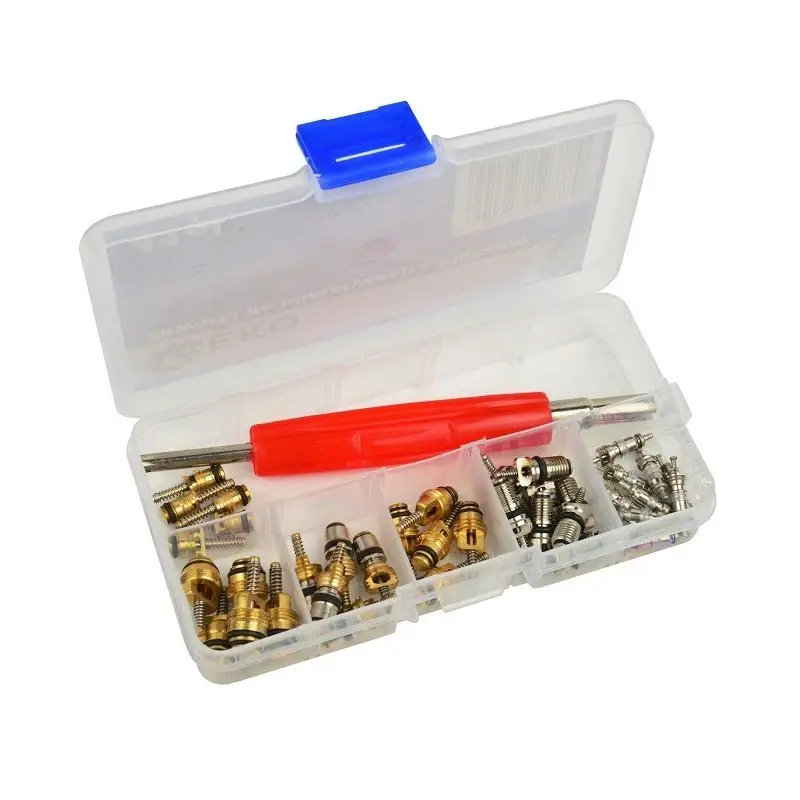 Consumabile aer conditionat - Trusa cu 41 de ventile pentru aer condiționat auto