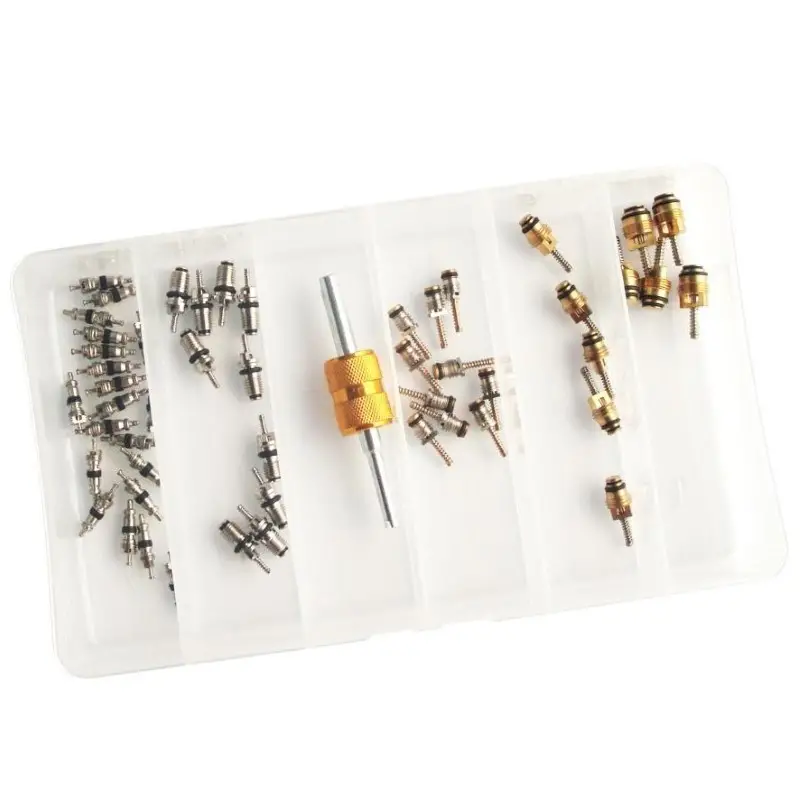 Consumabile aer conditionat - Trusa cu 50 de ventile pentru cuple aer condiționat auto