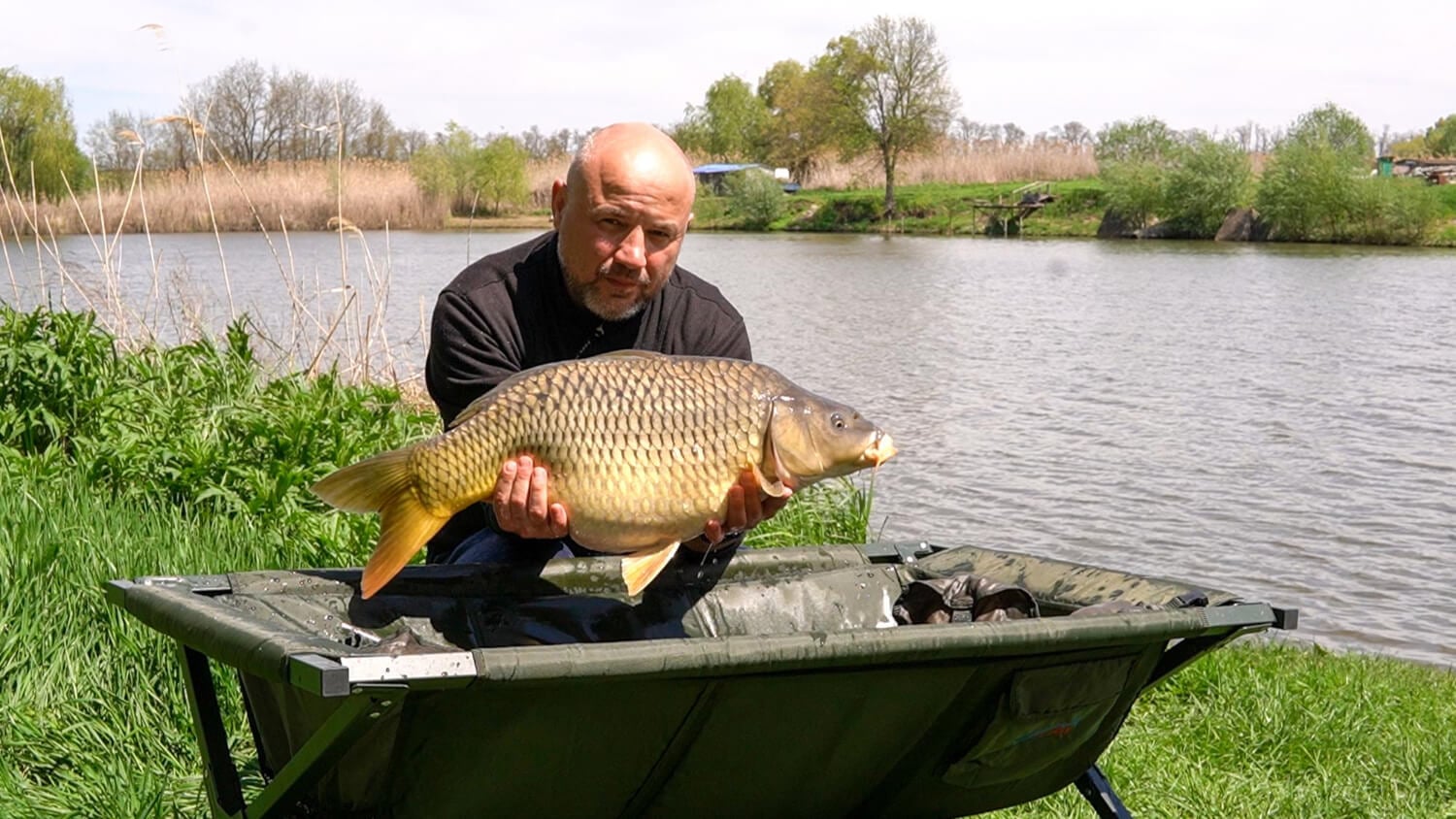 Care este cea mai bună nadă pentru crap