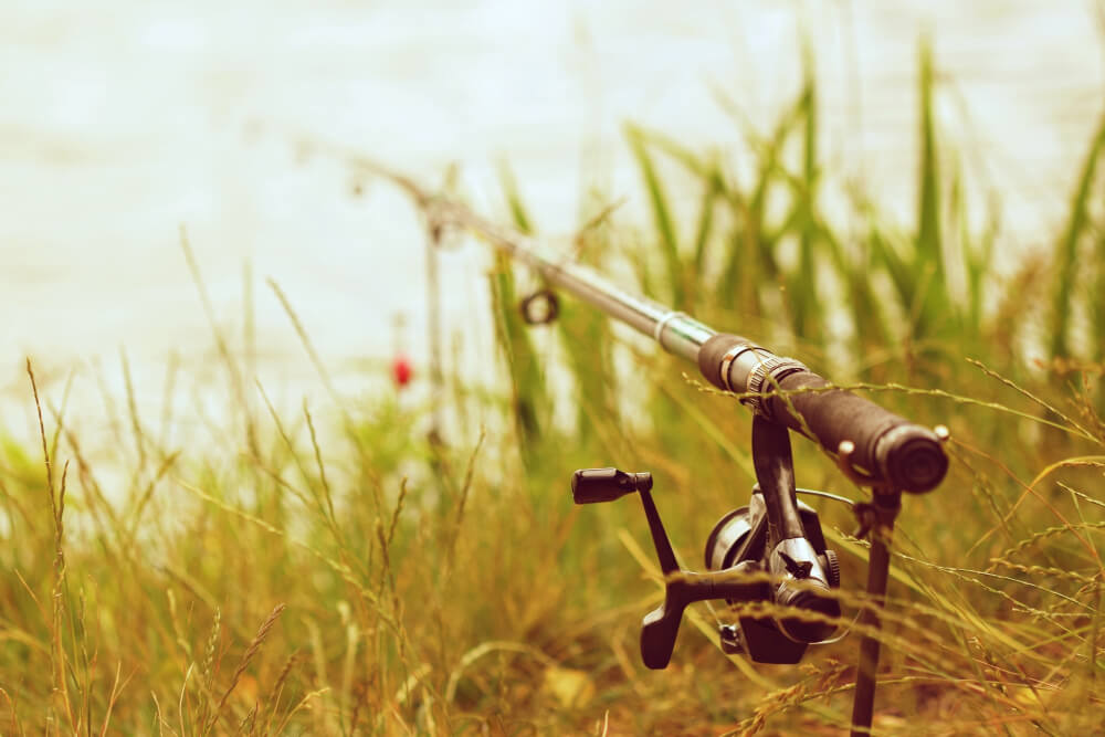 Top cele mai bune lansete spinning și cum alegi