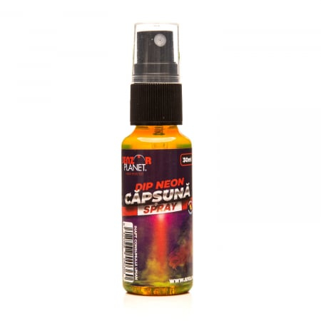 DIP NEON SPRAY 30ML