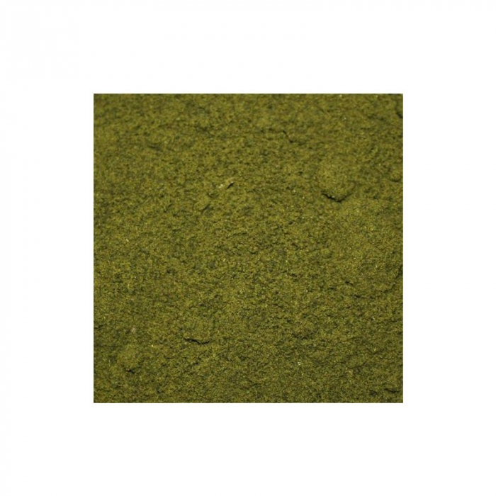 FEEDERX SUPER CARP GREEN 800G [2]