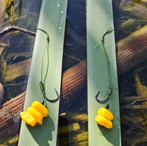 FeederX - Carlige legate FeederX Wild Carp Strong Hook [2]