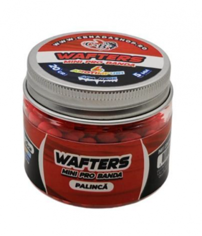 Momeli carlig - Wafters Mini Pro Banda 5mm 20gr.