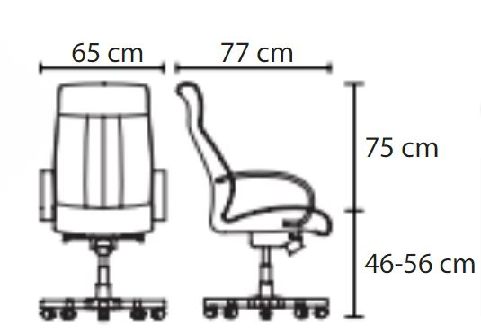 Scaun directorial model SAFIR [4]