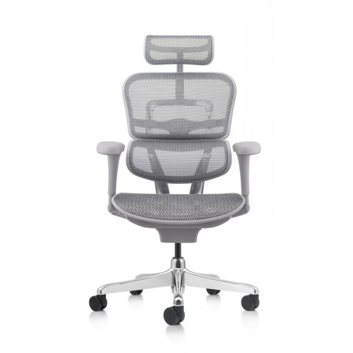 Scaun Ergohuman 2 Basic Grey [6]