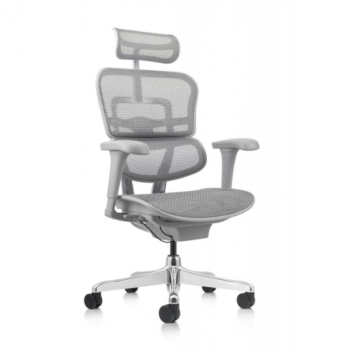 Scaun Ergohuman 2 Basic Grey [1]