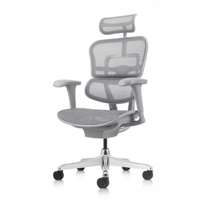 Scaun Ergohuman 2 Basic Grey [5]