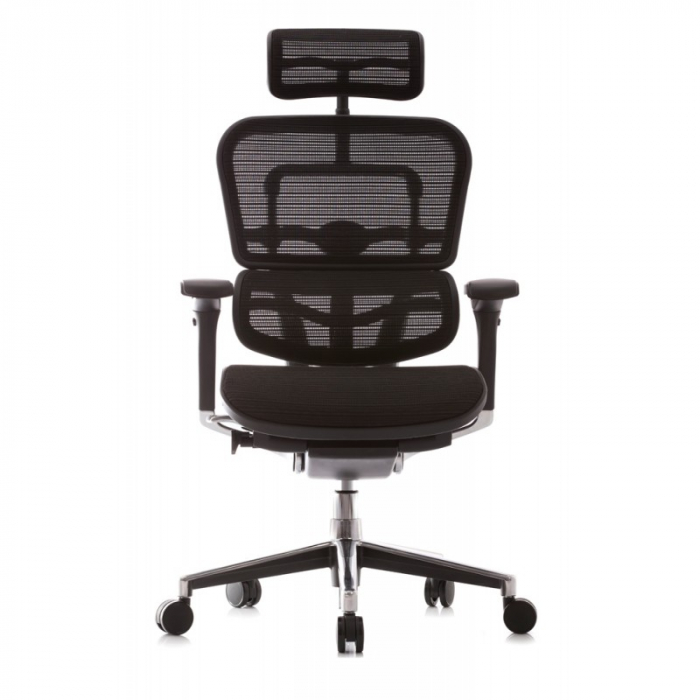 Scaun  ergonomic ERGOHUMAN material MESH [5]