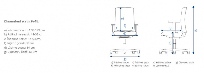 Scaun ergonomic model PROFIT [4]