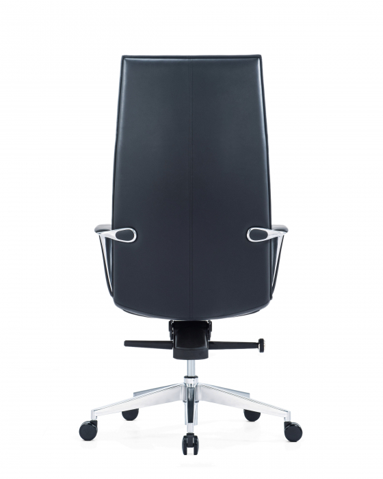 Scaun directorial Carlo [5]