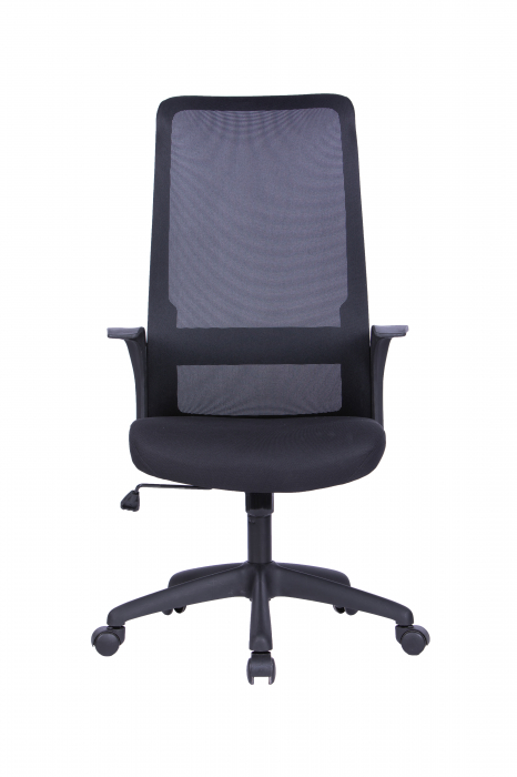 Scaun operativ Bonn [3]