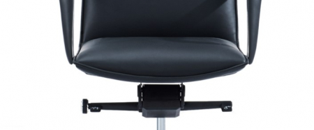 Scaun directorial Carlo [5]