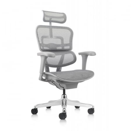 Scaune - Scaun Ergohuman 2 Basic Grey