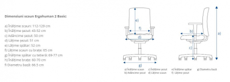 Scaun Ergohuman 2 Basic Grey [6]