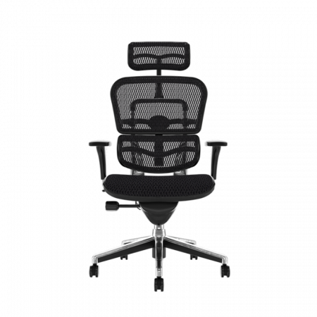 Scaune - Scaun  ergonomic ERGOHUMAN material MESH