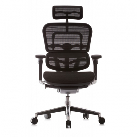 Scaun  ergonomic ERGOHUMAN material MESH [4]