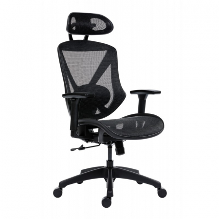 Scaun ergonomic Aero PRO [0]