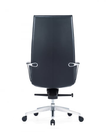 Scaun directorial Carlo [4]