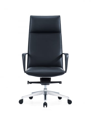 Scaun directorial Carlo [1]