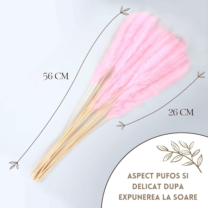 Buchet 15 Flori Uscate din Iarba de Pampas Naturala pentru Design, Amenajari si Decoratiuni Interioare, 60 cm, Roz [5]