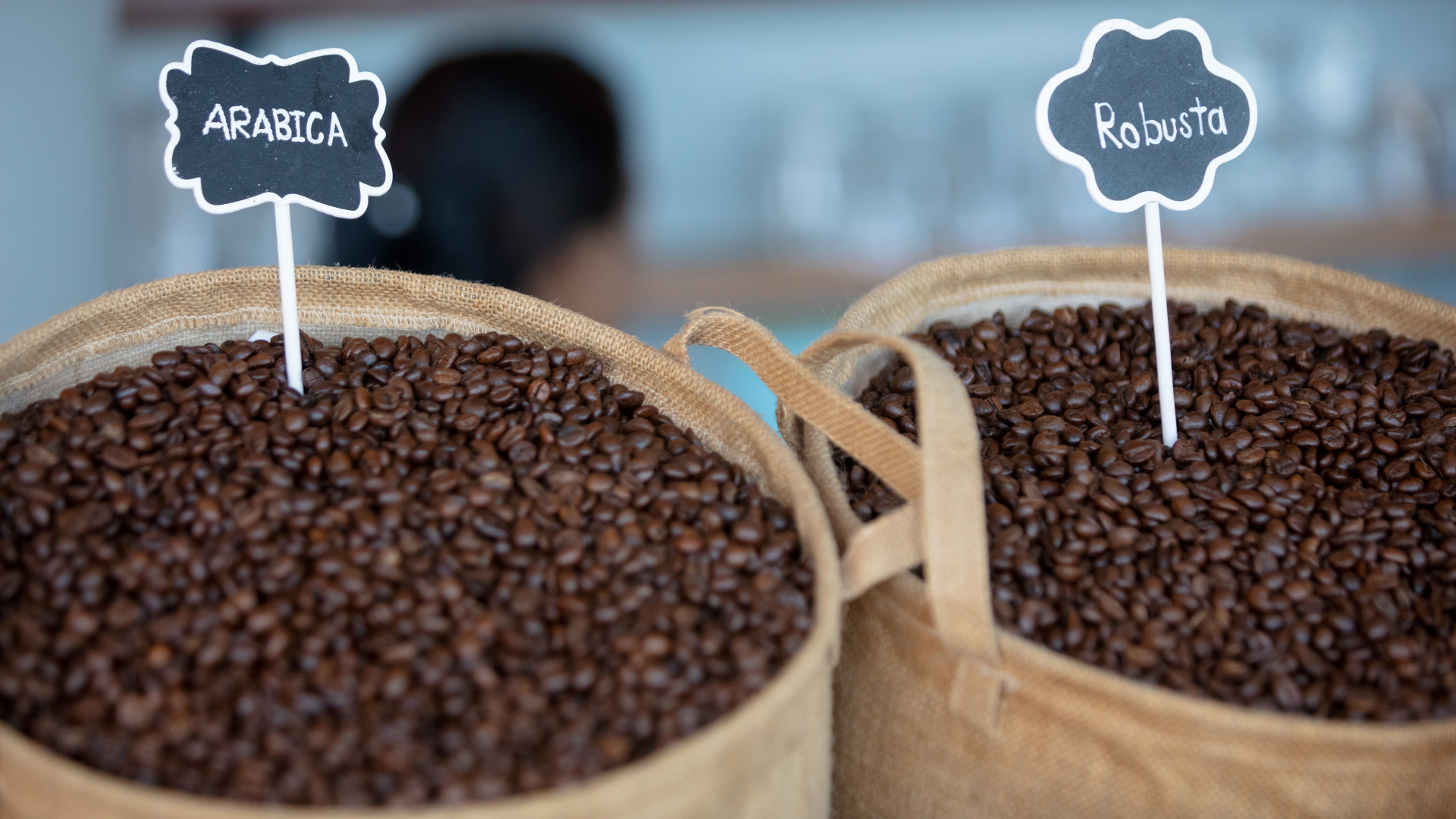 cafea-arabica-si-cafea-robusta