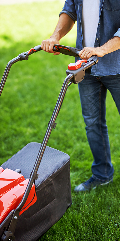 SPECIALISTI IN GRADINI