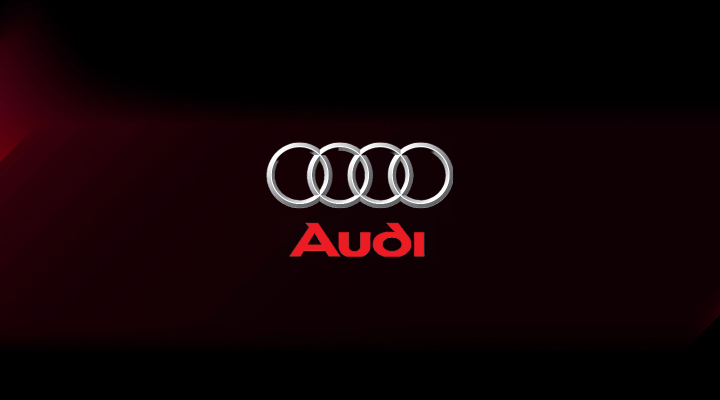 Navigatii dedicate Audi
