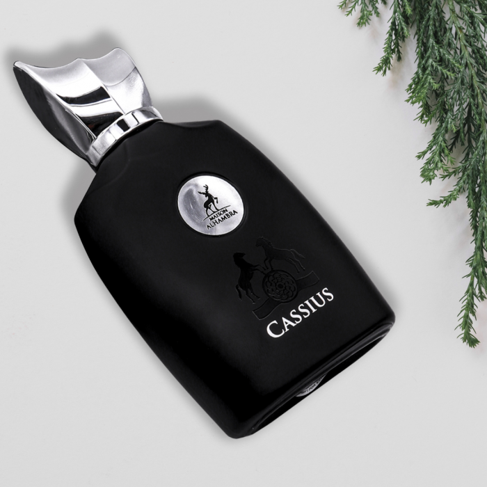 Cassius 100ml - Apa de Parfum, barbati [4]