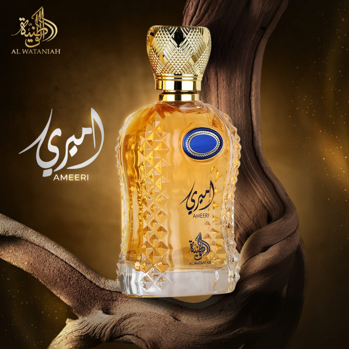 Ameeri 100ml - Apa de Parfum, barbati [3]