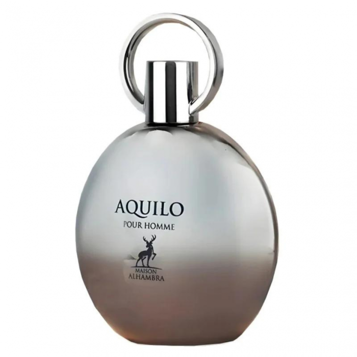 Aquilo Pour Homme 100ml - Apa de Parfum, barbati [2]