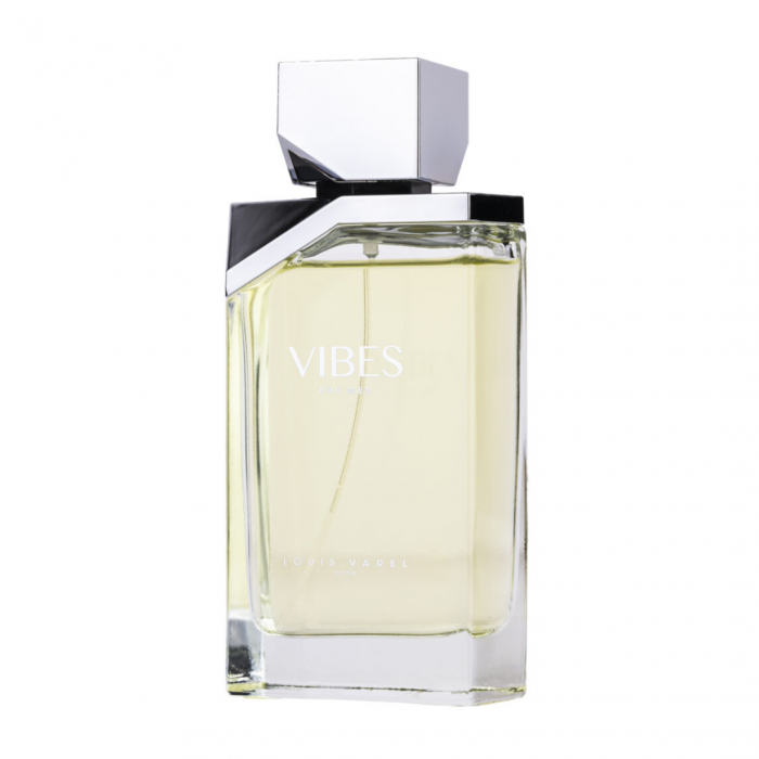 Vibes for Men 100ml - Apa de Toaleta, barbati [2]
