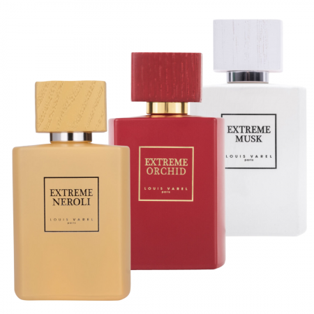 Pachete BARBATI - Pachet 3 parfumuri unisex 100ml Louis Varel