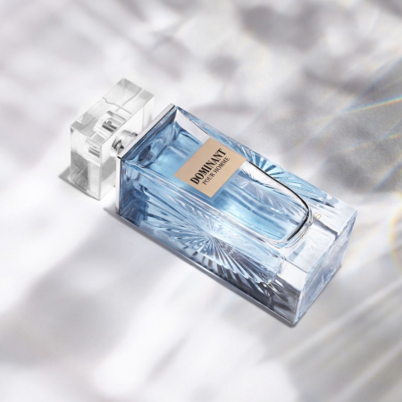 Dominant Pour Homme 100ml - Apa de Parfum, barbati [10]