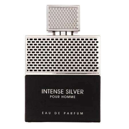 Parfumuri de iarna - Intense Silver Pour Homme 100ml - Apa de Parfum, barbati