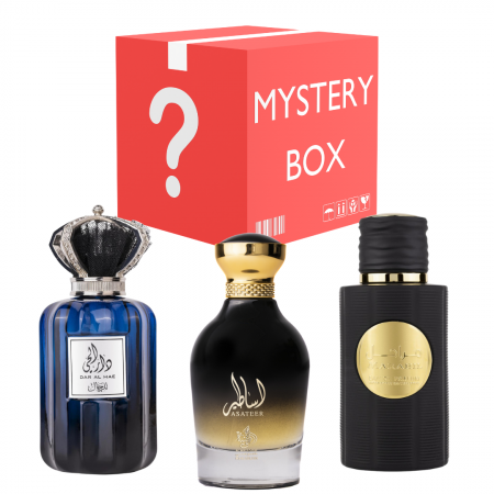 Lichidare de stoc - Mystery Box - Barbati - Oferta 3 Parfumuri
