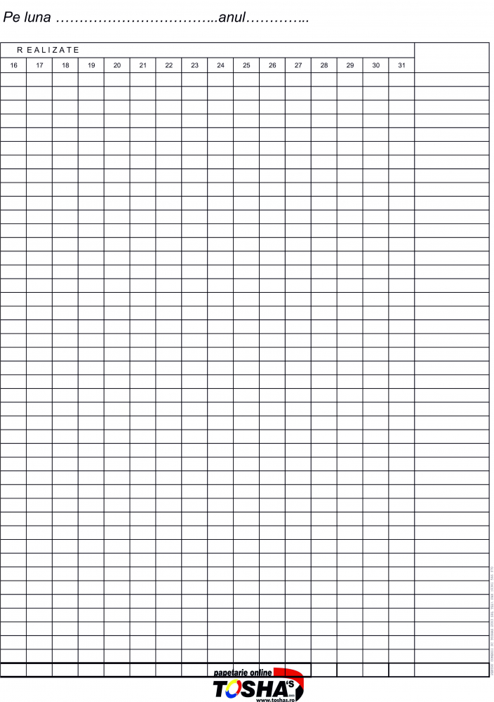 REGISTRU SITUATIA REALIZARILOR [2]