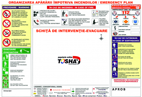 ORGANIZAREA APARARII INCENDIILOR A4 [3]
