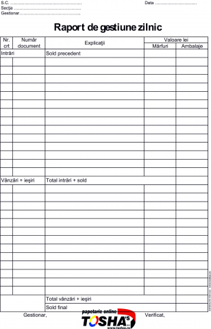 FISCALE - RAPORT DE GESTIUNE ZILNIC AUTOCOPIATIV