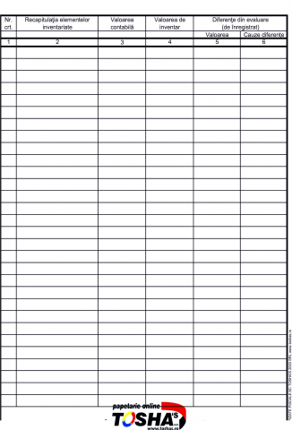 FISCALE - REGISTRU INVENTAR ȘNURUIT