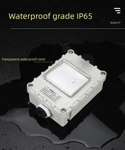 Intrerupator dublu industrial INNOVIX, Mode Standard European, IP65, rezistent la ploaie si foc, bej [3]