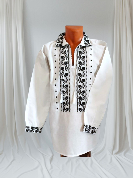 Set ie model 6 adulti [2]