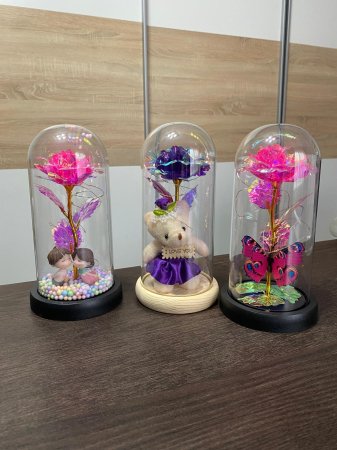 Cadouri - Cupolă de Plastic cu Lumina LED